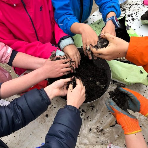 e83bfb7f-9009-430b-b541-2a67498f9739